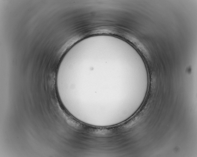 X0000089891233200707262223