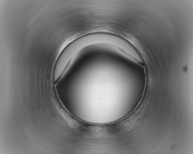 X0000089891234200707262223