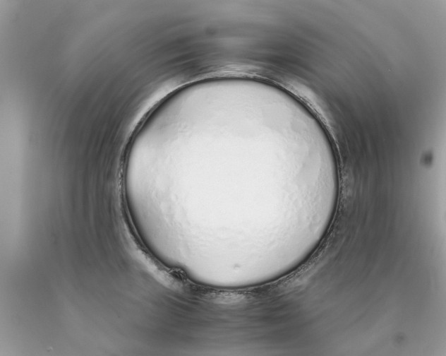 X0000089891235200707262223