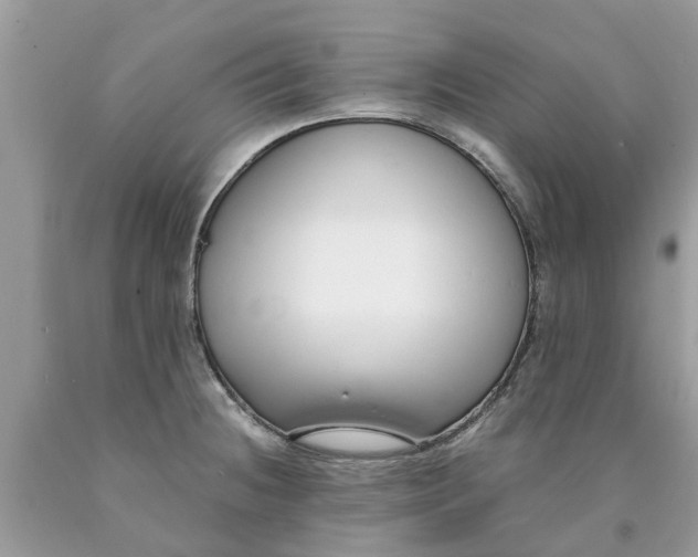 X0000089891236200707262223