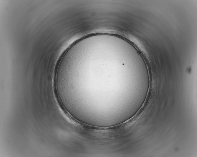 X0000089891237200707262223