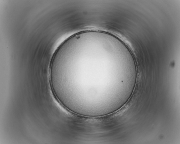 X0000089891239200707262223