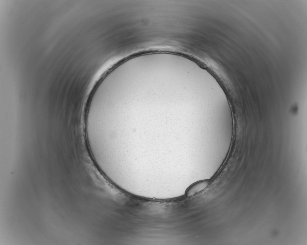 X0000089891240200707262223