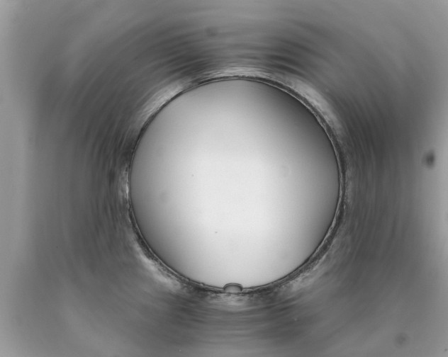 X0000089891241200707262223