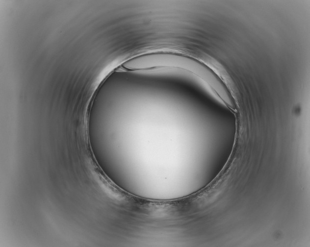 X0000089891242200707262223