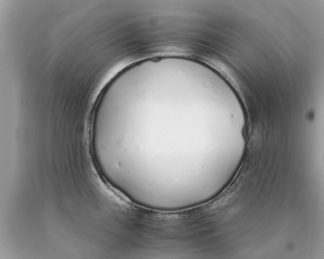 X0000089891243200707262223