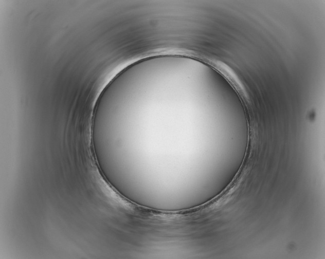 X0000089891244200707262223