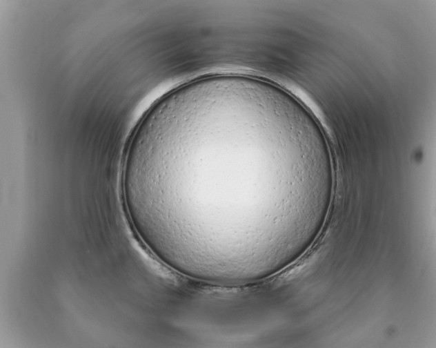 X0000089891245200707262223