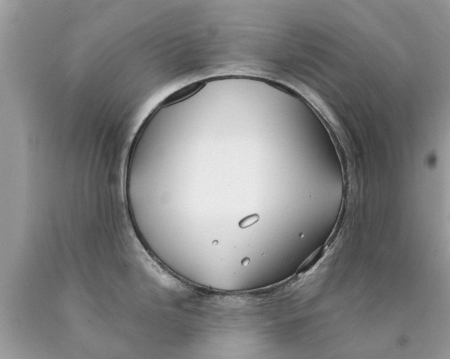 X0000089891246200707262223