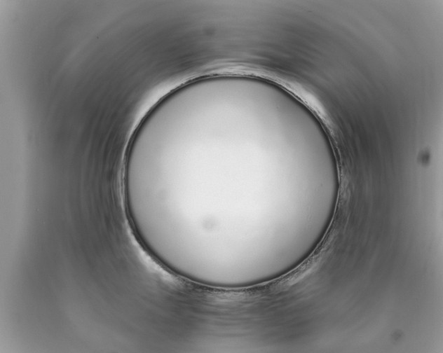 X0000089891247200707262223