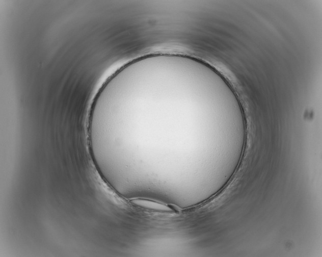 X0000089891248200707262223