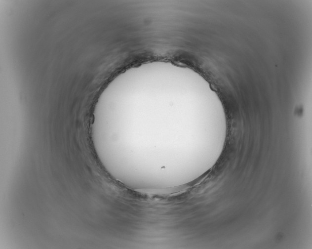 X0000089891249200707262222