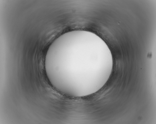 X0000089891250200707262222