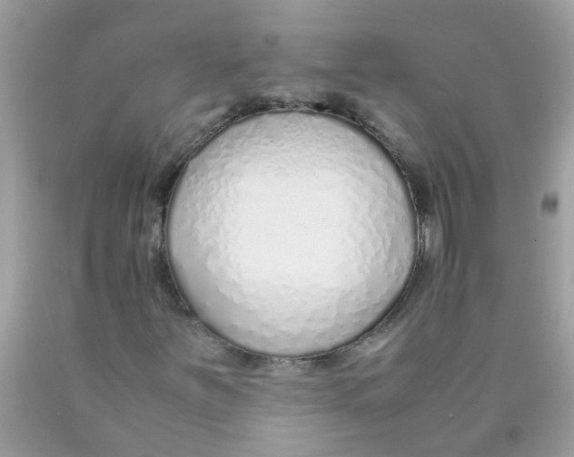 X0000089891251200707262222