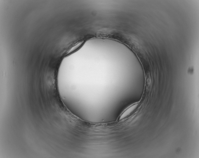 X0000089891252200707262222