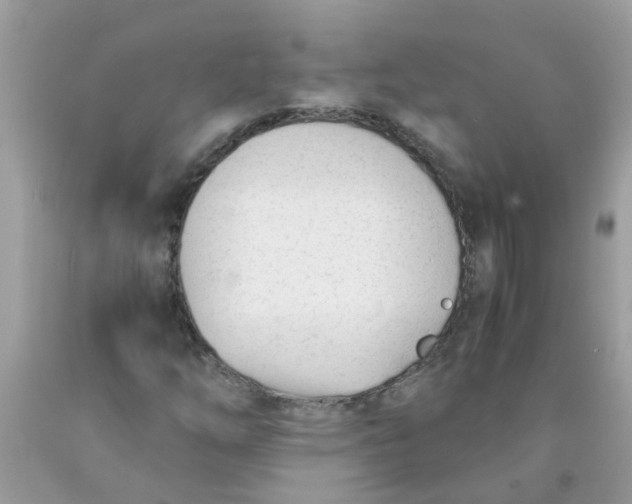 X0000089891254200707262222