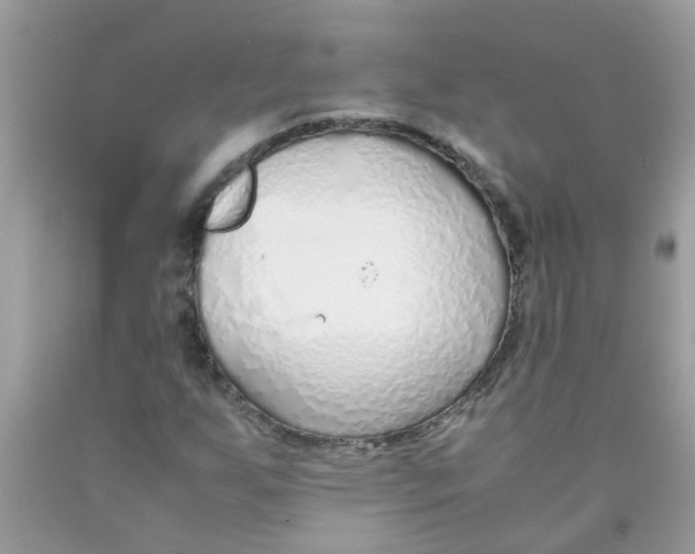 X0000089891255200707262222