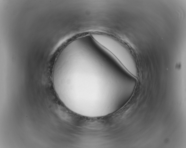 X0000089891256200707262222