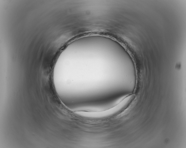 X0000089891257200707262222