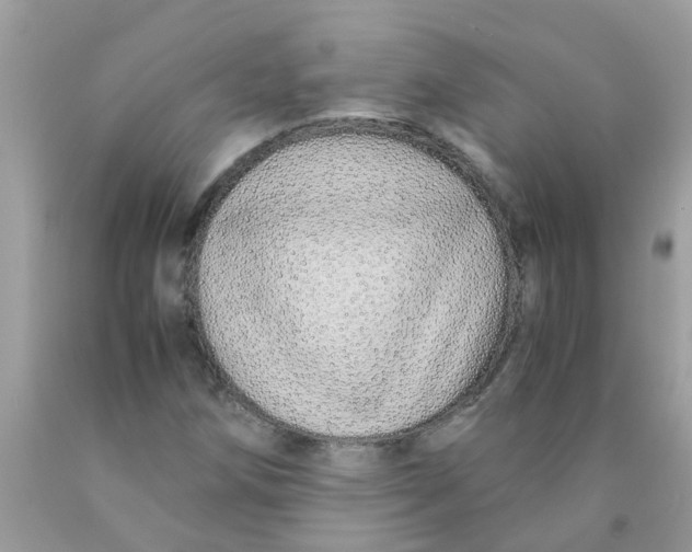 X0000089891258200707262222