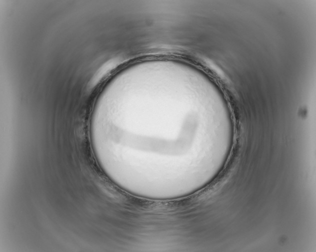 X0000089891259200707262222