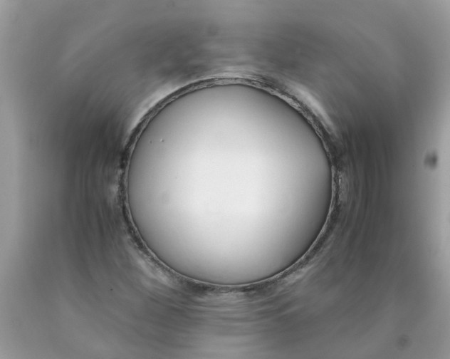 X0000089891260200707262222