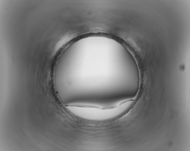 X0000089891261200707262222