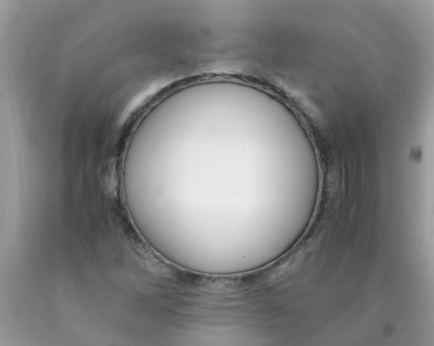 X0000089891262200707262222