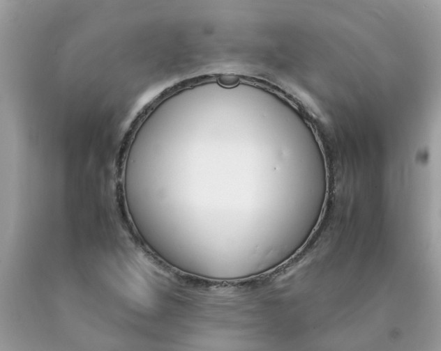 X0000089891264200707262222