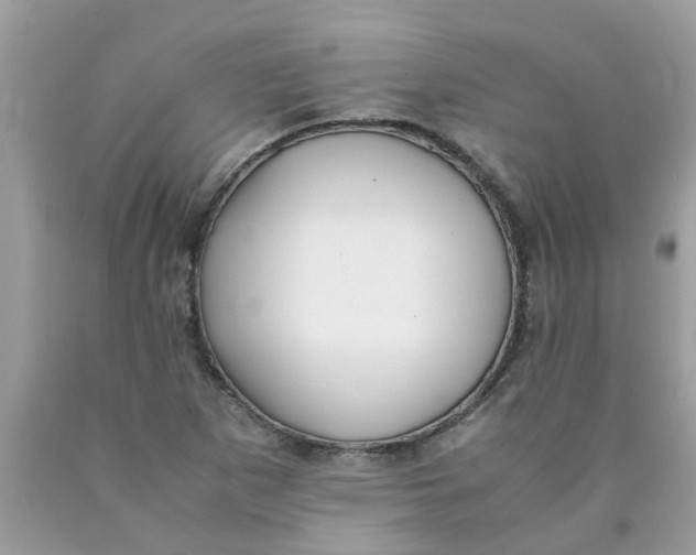 X0000089891265200707262222