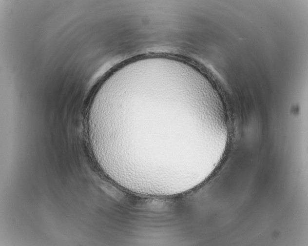 X0000089891266200707262222