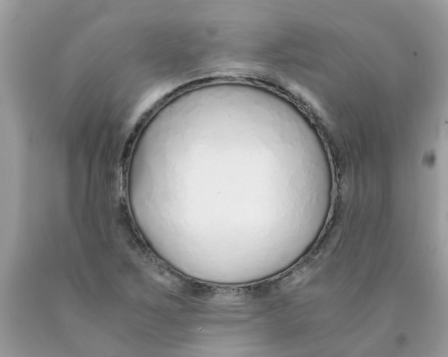 X0000089891267200707262222