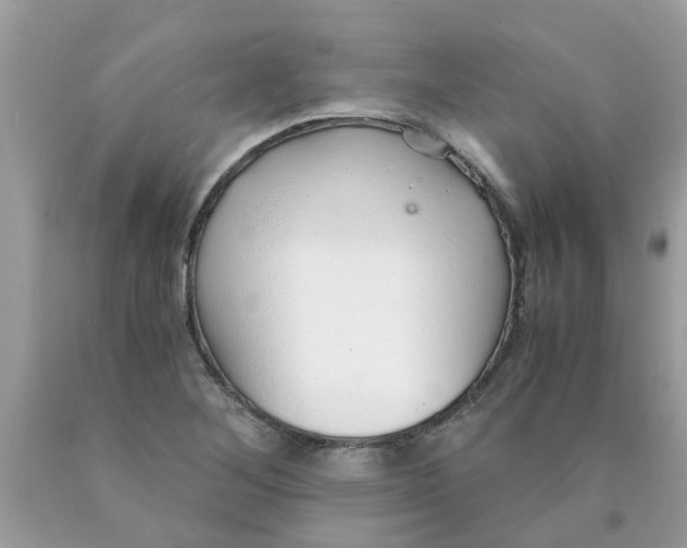 X0000089891268200707262222