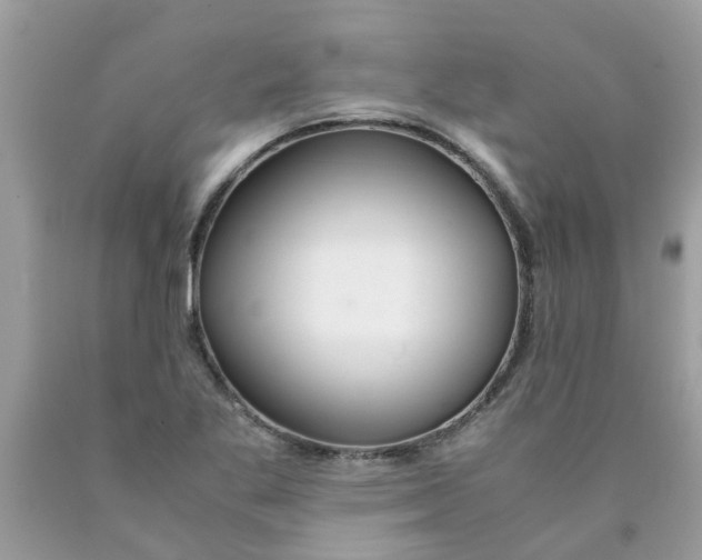 X0000089891269200707262222