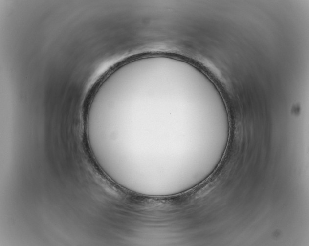 X0000089891270200707262222