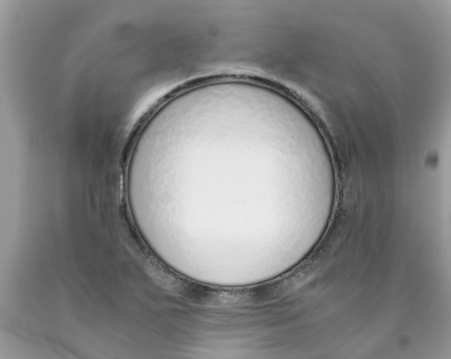 X0000089891271200707262222