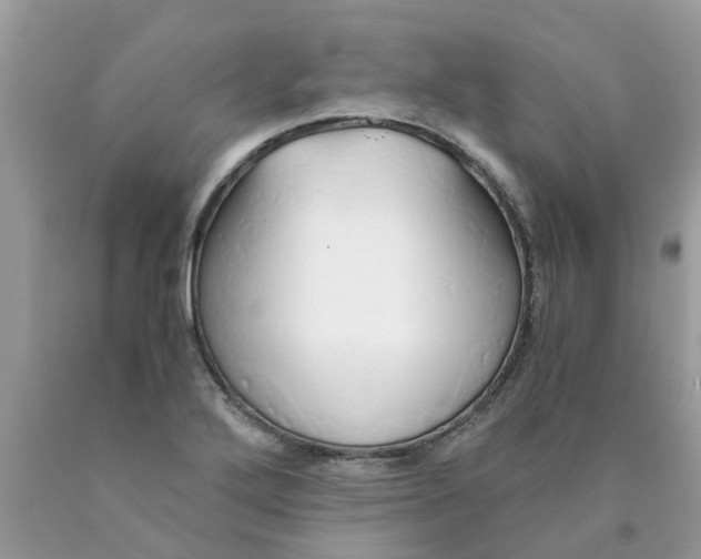 X0000089891272200707262222