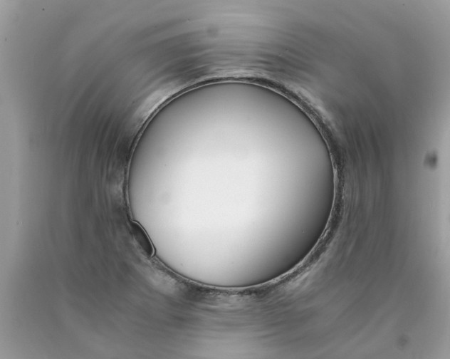 X0000089891273200707262222