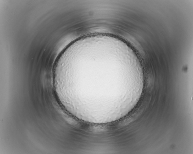 X0000089891274200707262222