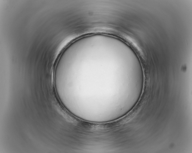 X0000089891275200707262222