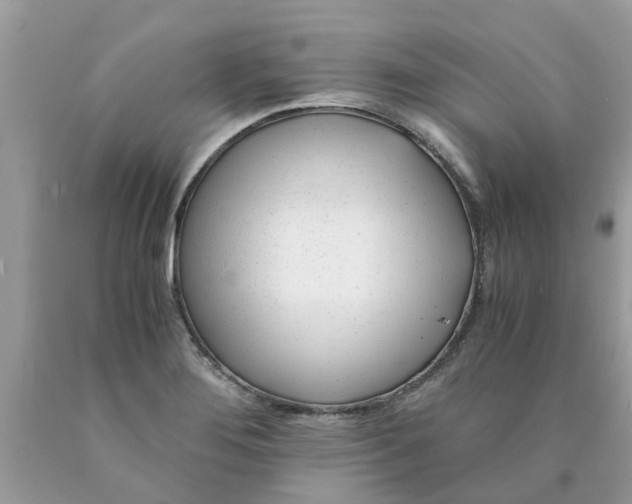 X0000089891276200707262222