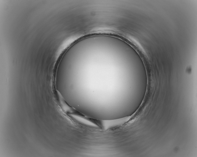 X0000089891277200707262222