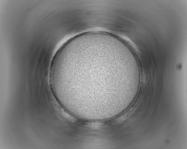 X0000089891278200707262222