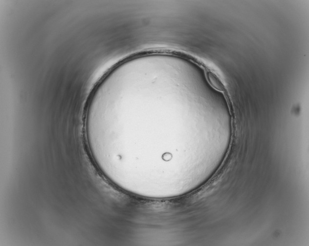 X0000089891279200707262222