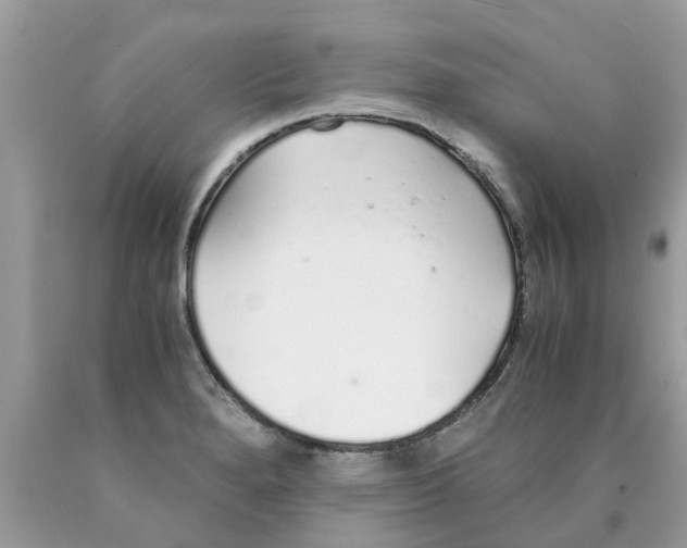 X0000089891280200707262222