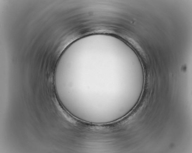 X0000089891281200707262222