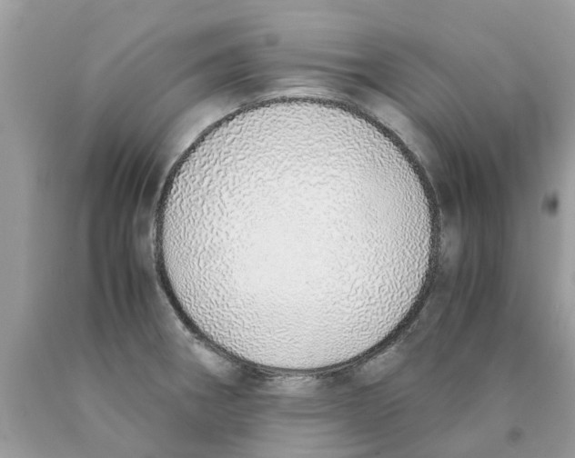 X0000089891282200707262222