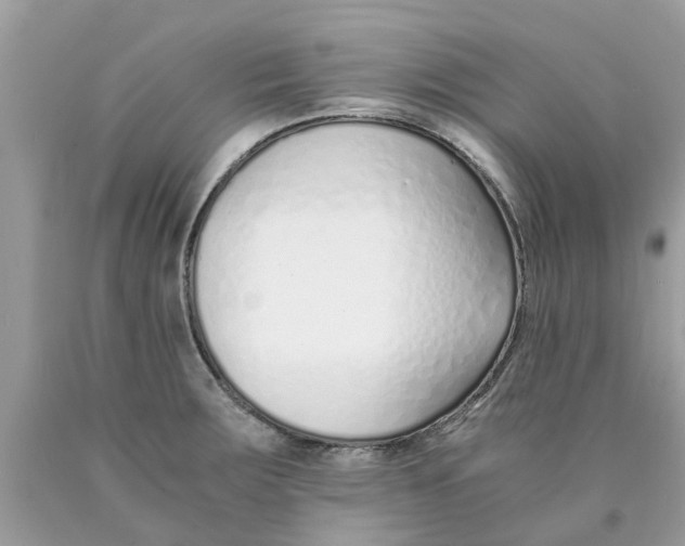 X0000089891283200707262222