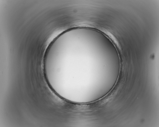 X0000089891285200707262222