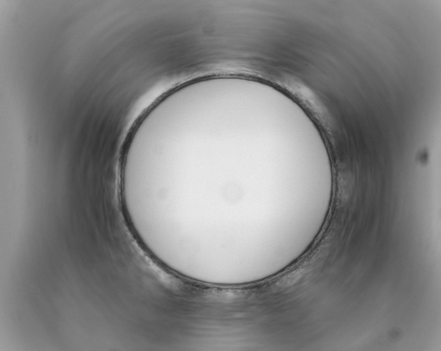 X0000089891286200707262222